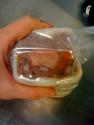 Duck Terrine With Prunes