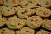 Easy Coconut Cookies