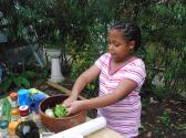 Evelyn's Apple Salad