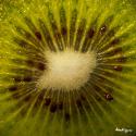 Exotic Fruit Tranche