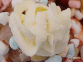 Fluffy Icing