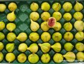 Fresh Figs Curacao