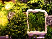 Fresh Herb Flavors