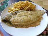 Fried Sole