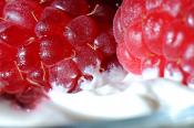 Incredible Fruit And Cream Bars