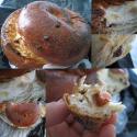 Fruit N Nut Bread