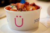 Fruity Yogurt Ice
