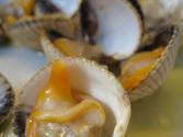 Gallets (gelled Pork)