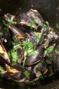 Garlic Mussels