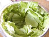Green Garden Salad