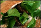 Grilled Rabbit