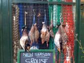Stewed Grouse