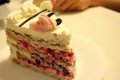 Frozen Hazelnut Cream Cake