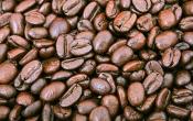 Java Roast
