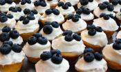 Lemon & Blueberry