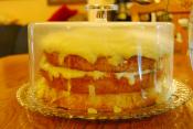 Lemon Sponge Cake