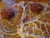 Liver Wrapped In Caul