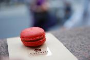Macaroon Bars
