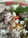 
Mandarin Salad