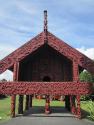 Papaw Maori