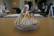 Rhubarb Custard Meringue Pie