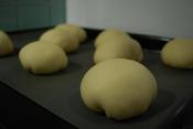 Mexican Sweet Buns