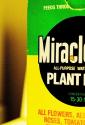 Miracle Brownies