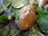 Mystery Grape Salad
