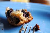 Oatmeal-blueberry Muffins