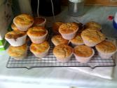 Orange Bran Muffins