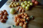 Orange Grapefruit Marmalade