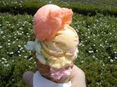 Orange Sherbet Soda 