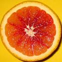 Crispy Orange Squares