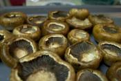 Parmesan Mushroom Caps