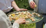 Party Canapes