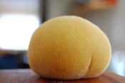 Pasta Dough