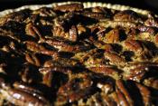 Pecan Crust