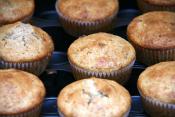 Cranberry Pecan Muffins