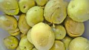 Pickling Brine 