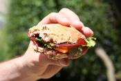 Layered Picnic Club Sandwich