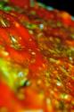 Pizza Sauce