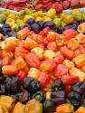 Summer Vegetable Potpourri