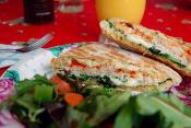 Provolone Panini Sandwiches