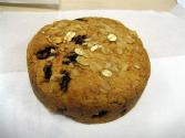 Raisin Oat Scones
