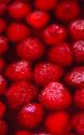 Raspberry Jello