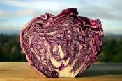 Red Cabbage With Red Wine Vinegar