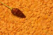 Red Lentil Chili