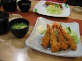 Rice-bed Shrimp