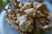 Roasted Jerusalem Artichokes