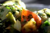 Salad Appetizers